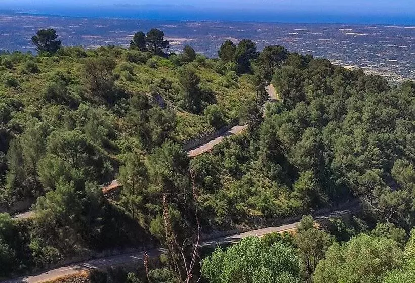 Fotos del hotel Fenix:  52