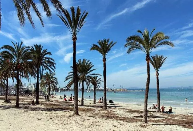 Fotos del hotel Fenix:  75