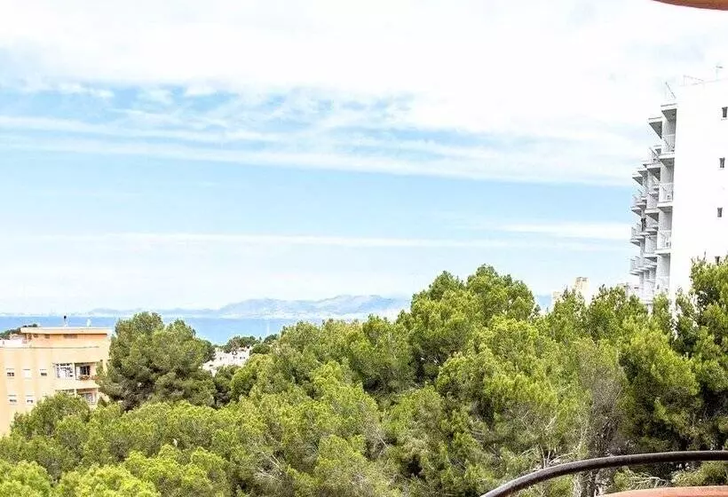 Fotos del hotel Fenix:  49