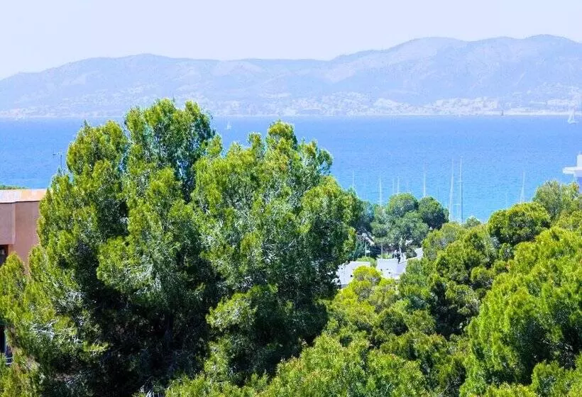 Fotos del hotel Fenix:  55