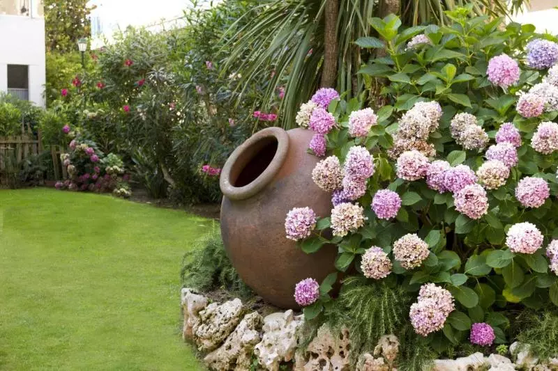 Fotos del hotel Alegria Maripins:  34