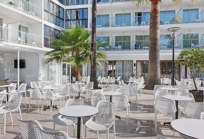 Fotos del hotel Alua Boccaccio:  4