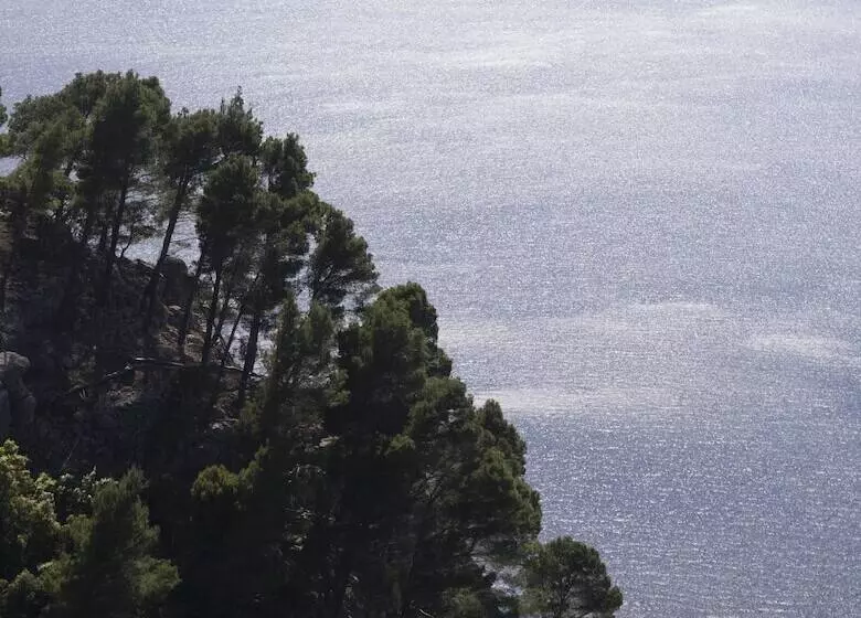 Fotos del hotel Continental Valldemossa:  14