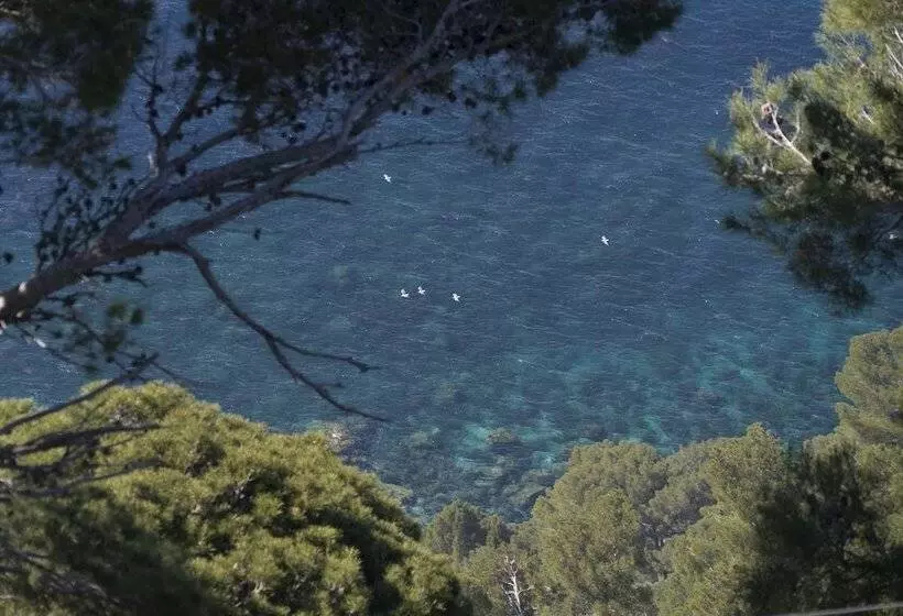 Fotos del hotel Continental Valldemossa:  13