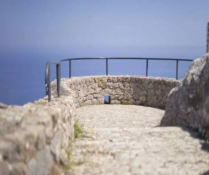 Fotos del hotel Continental Valldemossa:  2