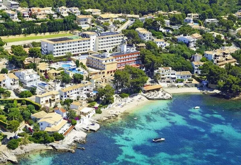 Fotos del hotel President Alcudia:  10