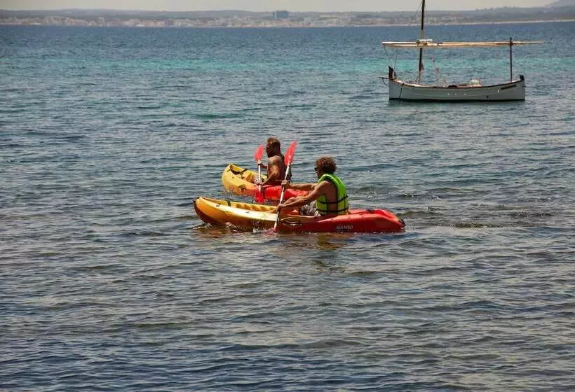 Fotos del hotel President Alcudia:  9