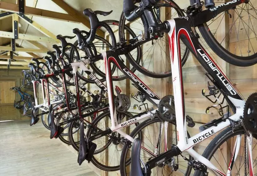 Fotos del hotel President Alcudia:  16