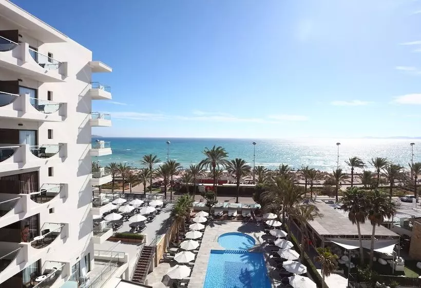 Fotos del hotel Playa Golf:  20