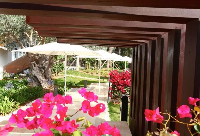 Fotos del hotel Pure Salt Garonda 4* Sup - Adults Only:  25