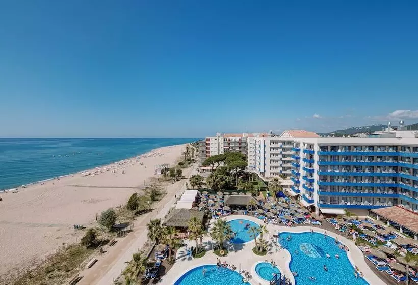 Fotos del hotel Tahití Playa:  8