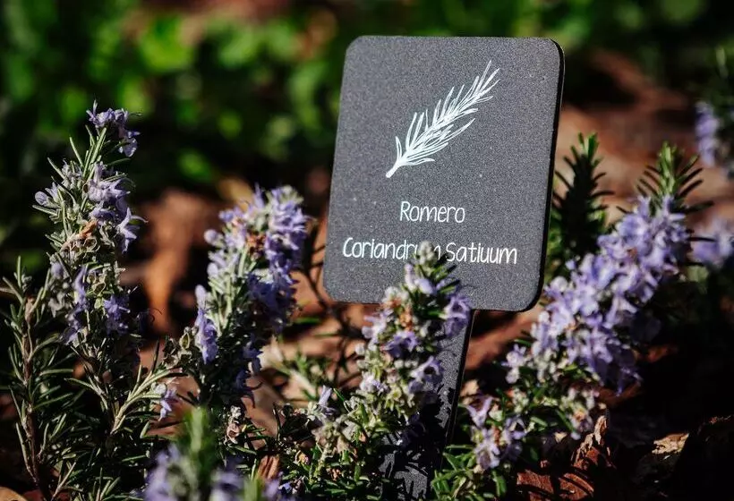 Fotos del hotel Thb Maria Isabel - Adults Only:  44