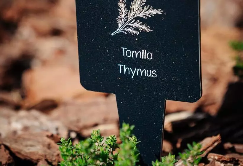 Fotos del hotel Thb Maria Isabel - Adults Only:  35