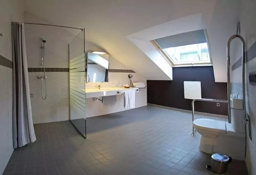 Fotos del hotel Anoeta:  7