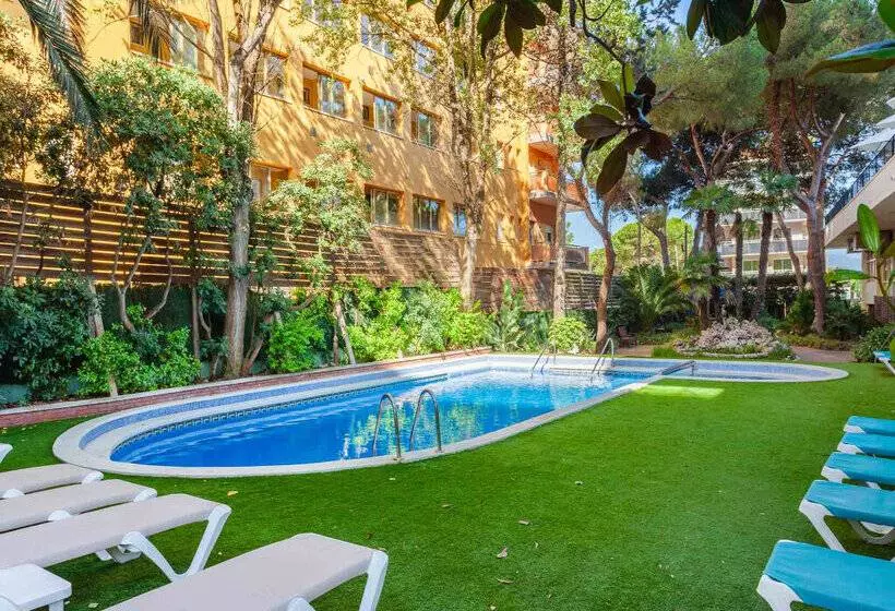 Checkin Blanes Checkin Blanes