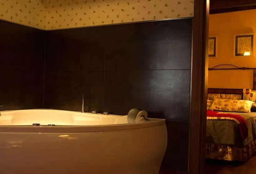 Fotos del hotel Pradas Ordesa:  13