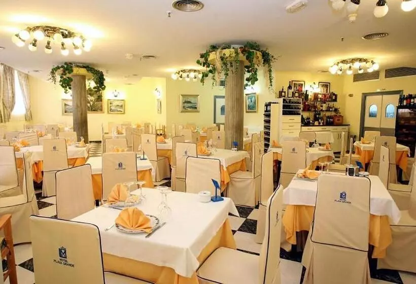 Fotos del hotel Playa Grande:  16