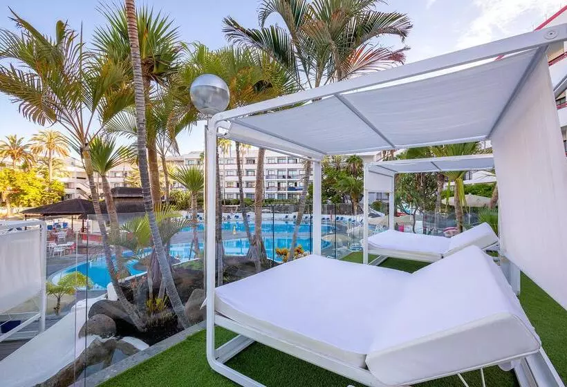 Fotos del hotel Alexandre  La Siesta:  8