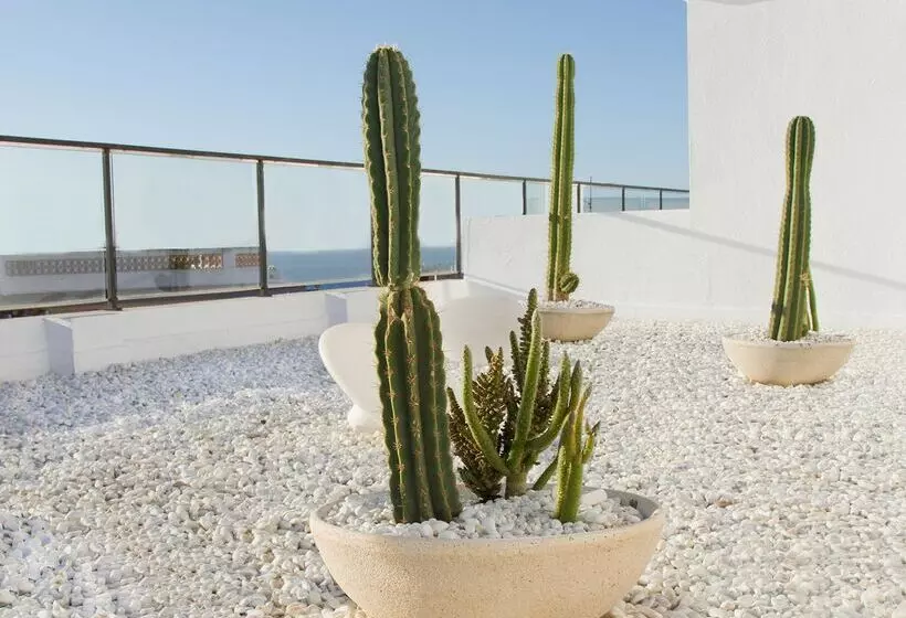 Fotos del hotel Alegria Plaza Paris 4*sup:  45