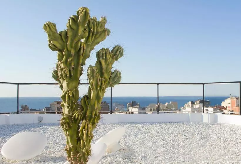 Fotos del hotel Alegria Plaza Paris 4*sup:  80