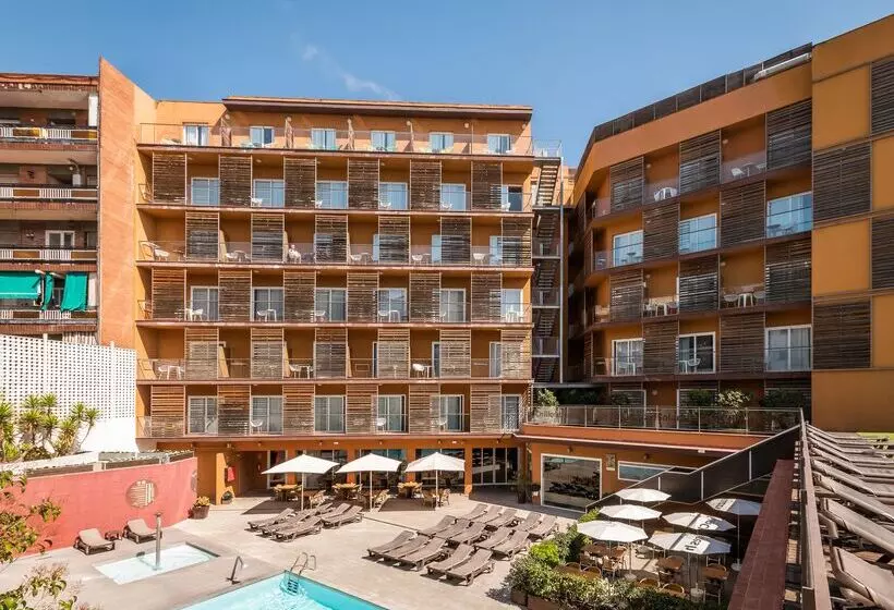 Fotos del hotel Alegria Plaza Paris 4*sup:  56