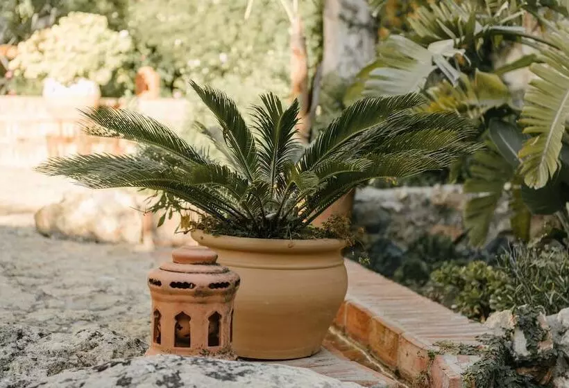 Fotos del hotel Castillo De Monda:  7