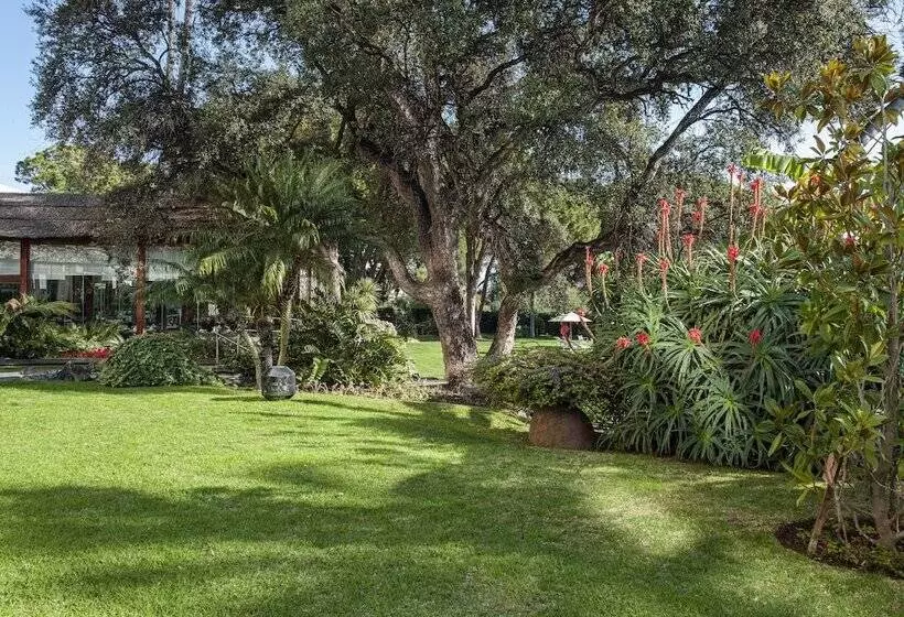 Fotos del hotel Don Pepe Gran Meliá:  65