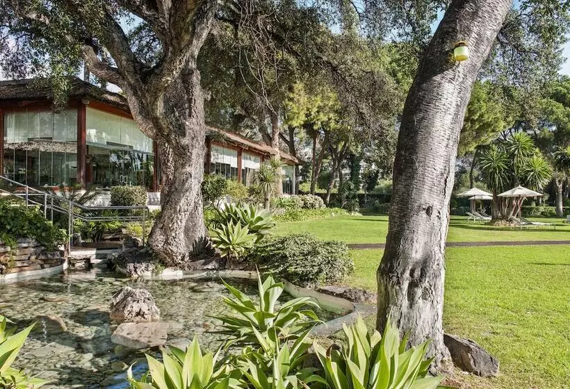 Fotos del hotel Don Pepe Gran Meliá:  66