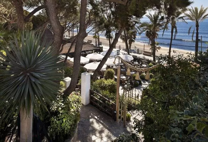 Fotos del hotel Don Pepe Gran Meliá:  57