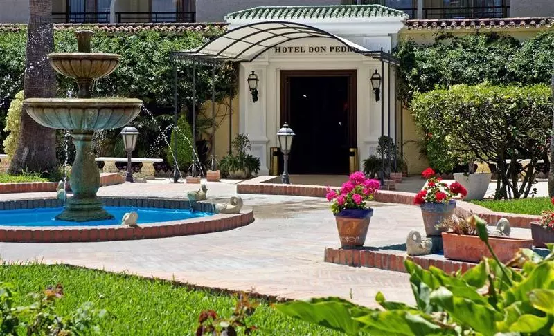 Fotos del hotel Sol Torremolinos Don Pedro:  87