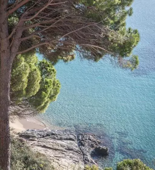 Fotos del hotel Almadraba Park Hotel:  13