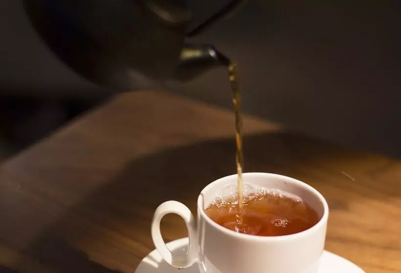 Fotos del hotel Mercure Madrid Centro:  6