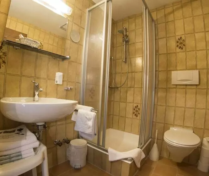 Fotos del hotel Alpenhotel Fernau:  19