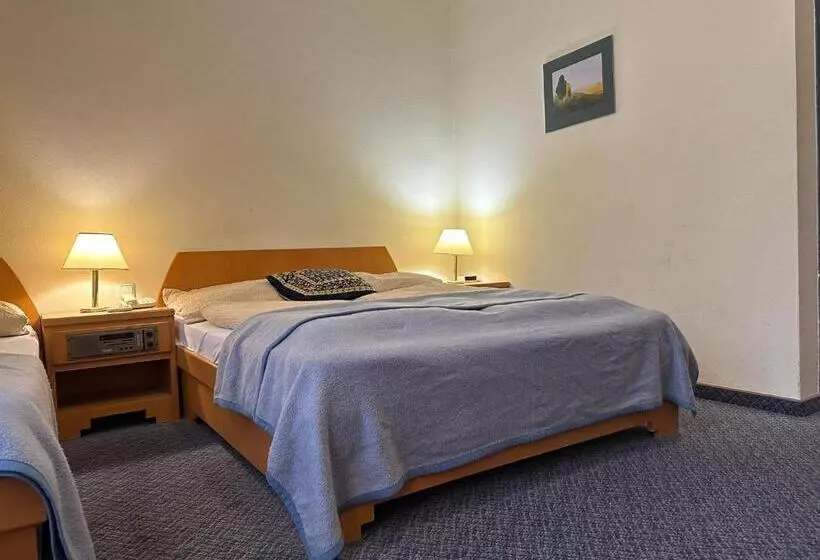 Fotos del hotel Am Schottenpoint:  7