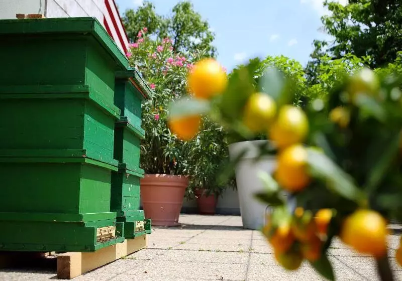 Fotos del hotel Daniel Graz:  10