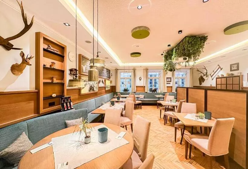 Fotos del hotel Elefant:  4