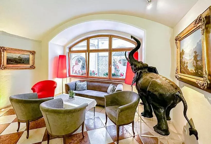 Fotos del hotel Elefant:  25