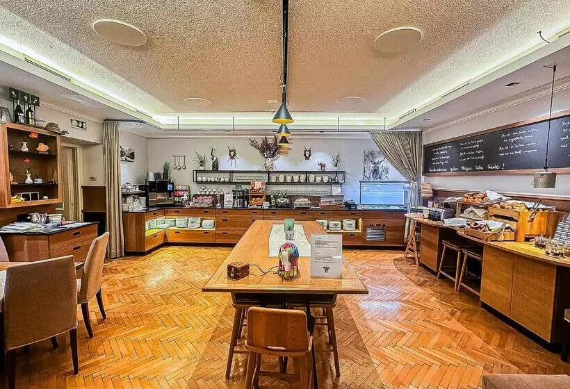 Fotos del hotel Elefant:  5