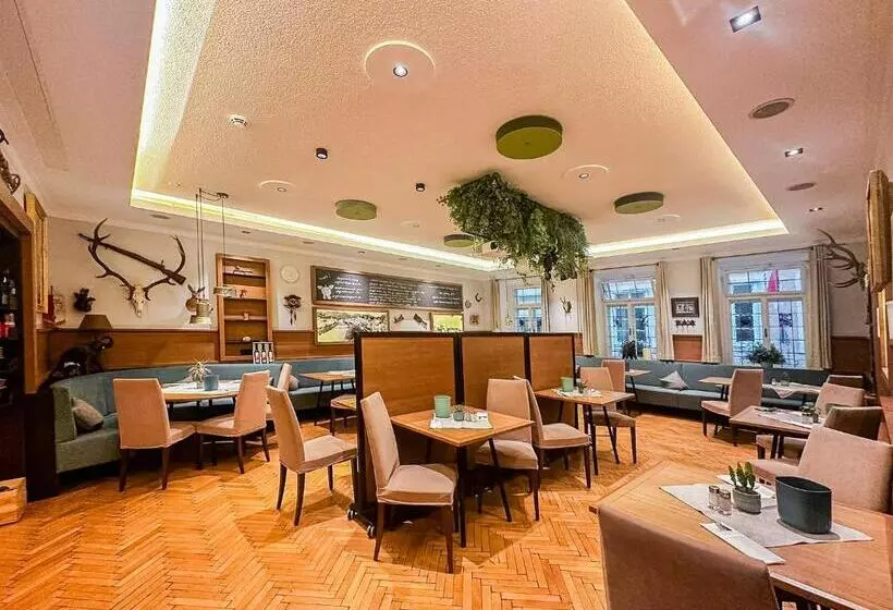 Fotos del hotel Elefant:  24