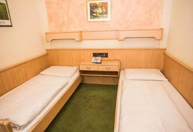 Fotos del hotel Hadrigan:  15