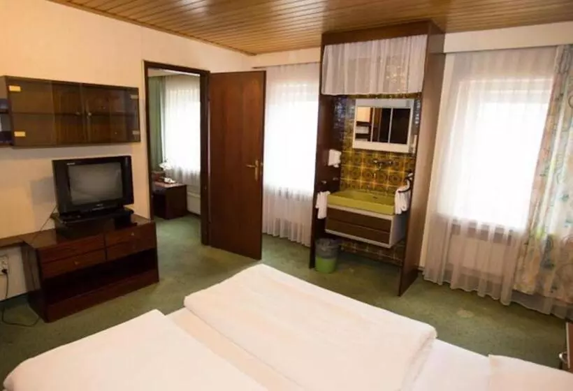 Fotos del hotel Hadrigan:  6