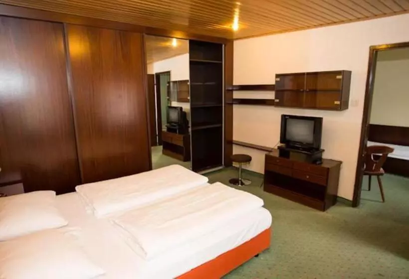 Fotos del hotel Hadrigan:  2