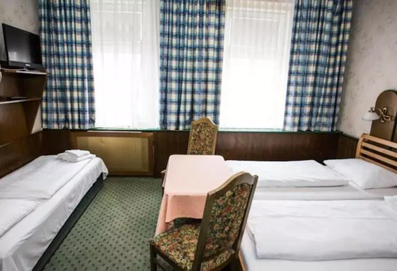 Fotos del hotel Hadrigan:  12