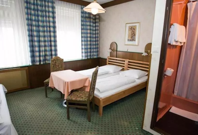 Fotos del hotel Hadrigan:  8