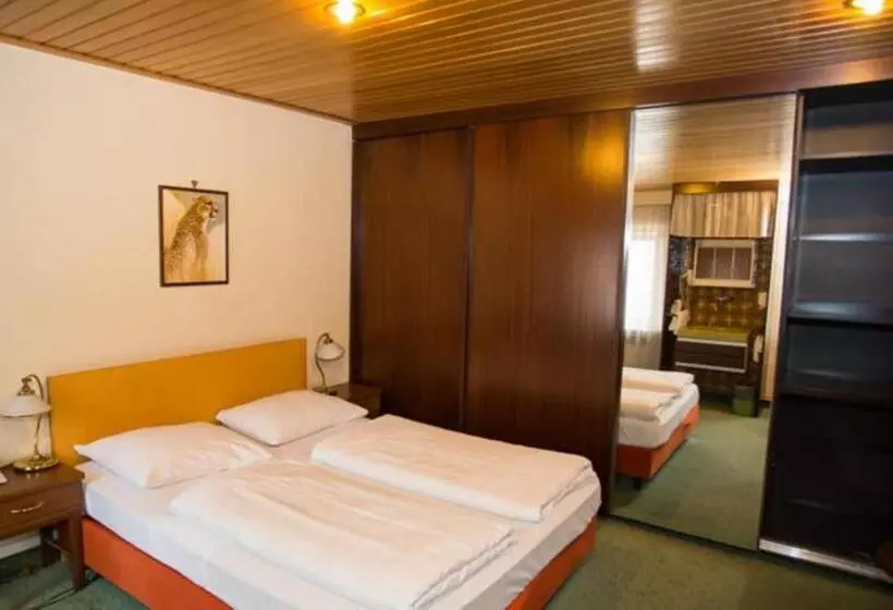 Fotos del hotel Hadrigan:  18