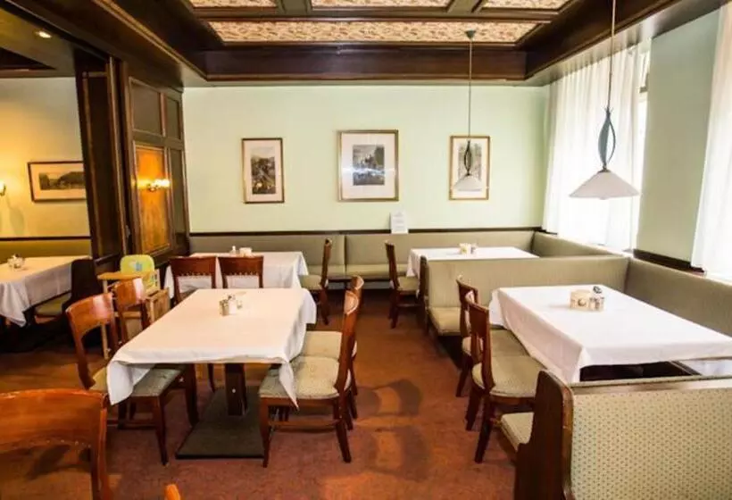 Fotos del hotel Hadrigan:  7