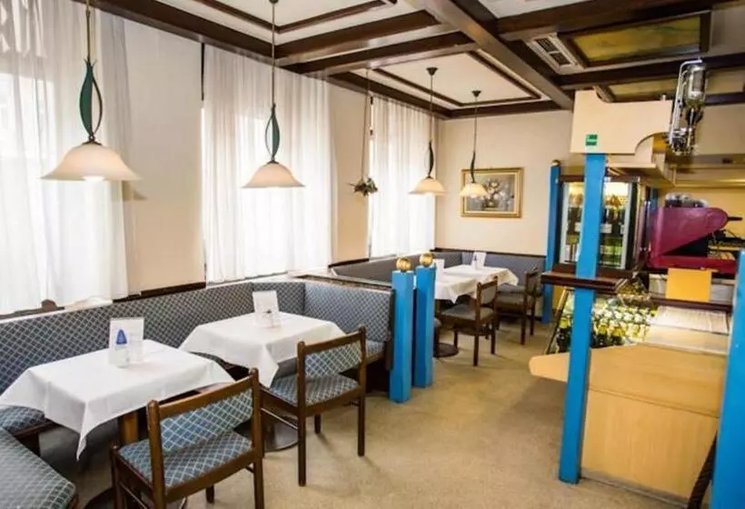 Fotos del hotel Hadrigan:  9