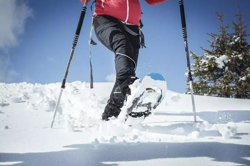 Fotos del hotel Latini:  15