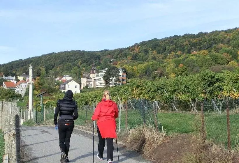 Fotos del hotel Schild:  8