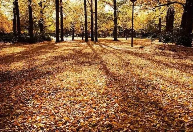 Fotos del hotel Crowne Plaza Canberra, An Ihg:  7